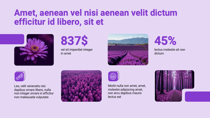 MellowForm Purple Creative slide 7